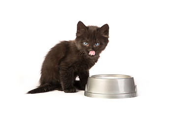 Image showing Black kitten drinks milk, on a white background
