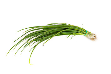 Image showing Fresh scallions isolated on white