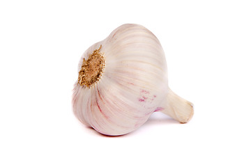 Image showing A head of garlic isolated on white