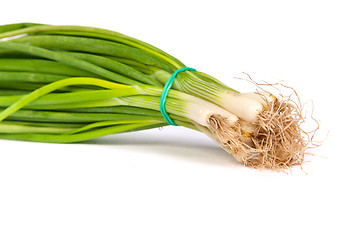 Image showing Fresh scallions isolated on white