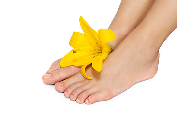 Image showing Beautiful woman legs with flower , isolated on white