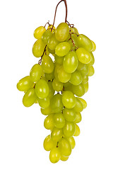 Image showing Bunch of Green Grapes laying isolated