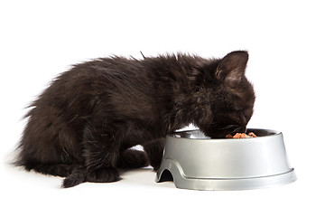 Image showing Black kitten eating cat food on a white background