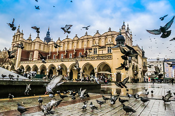 Image showing A lot of doves in Krakow old city.