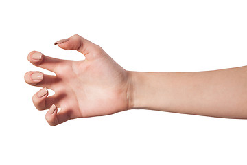 Image showing Female hand reaching for something on white