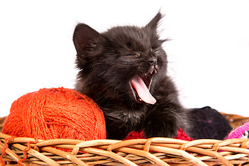 Image showing Black kitten playing with a red ball of yarn on white background