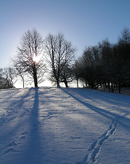 Image showing Footsteps In Snow