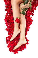 Image showing Healthy Woman's Legs and Rose Petals over white.