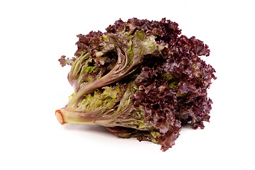 Image showing Fresh red Lettuce isolated on white