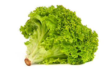 Image showing Fresh Green Lettuce isolated on white