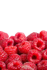 Image showing Ripe raspberries fruit background. ?solated on white