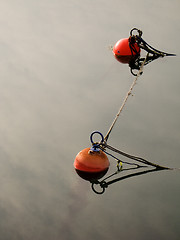 Image showing Buoys