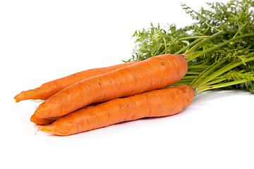 Image showing Bunch of fresh carrot isolated on white