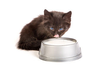 Image showing Black kitten drinks milk, on a white background