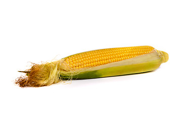 Image showing Fresh uncooked corn on the cob