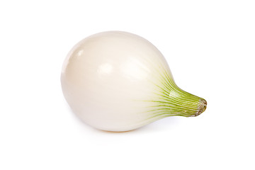 Image showing One onion, isolated on white