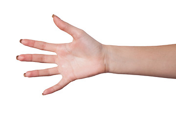 Image showing Hand gesture of Female isolated on white