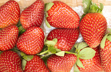 Image showing Fresh strawberry