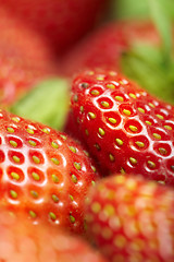 Image showing Strawberry