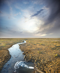 Image showing Pollution