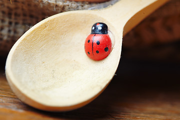 Image showing Ladybird on spoon