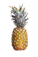 Image showing Pineapple