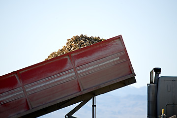 Image showing sugar beet harvest