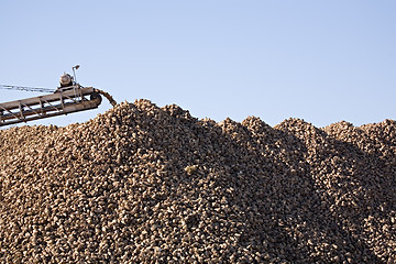 Image showing sugar beet industry