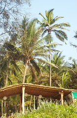 Image showing Palm resort