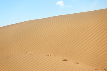 Image showing Desert