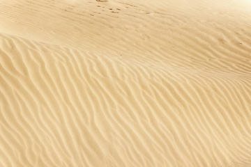 Image showing Desert