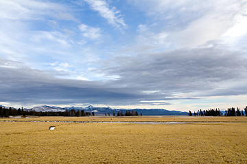 Image showing yellowstone