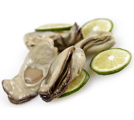 Image showing Oysters
