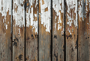 Image showing Old cracked paint on boards