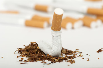 Image showing Crumpled cigarette