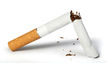 Image showing Crumpled cigarette