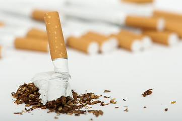 Image showing Crumpled cigarette