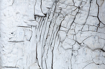 Image showing Old cracked paint on boards