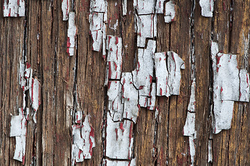 Image showing Old cracked paint on boards