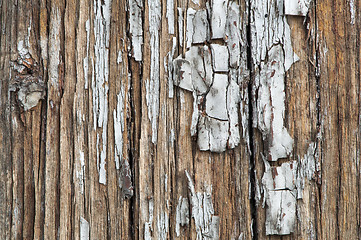 Image showing Old cracked paint on boards