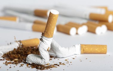 Image showing Crumpled cigarette