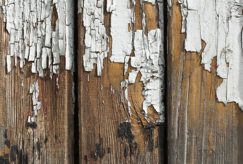 Image showing Old cracked paint on boards