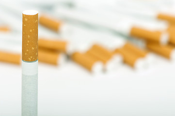 Image showing Heap of cigarettes