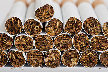 Image showing Heap of cigarettes