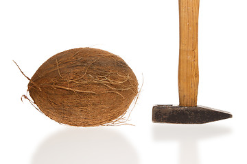 Image showing Coconut and a hammer