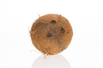 Image showing Coconut with it's shade