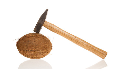 Image showing Coconut and a hammer