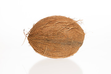 Image showing Coconut with it's shade