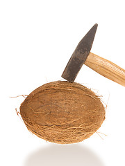 Image showing Coconut and a hammer