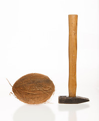 Image showing Coconut and a hammer